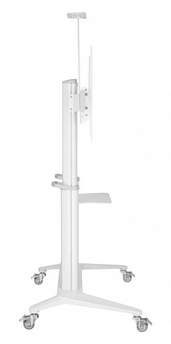 Мобильная напольная стойка Digis DSM-P7106C мобильная для ТВ 55"-100"